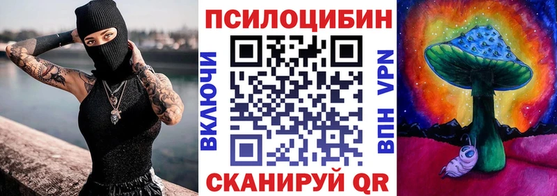 Галлюциногенные грибы Psilocybe  где продают наркотики  Николаевск-на-Амуре 